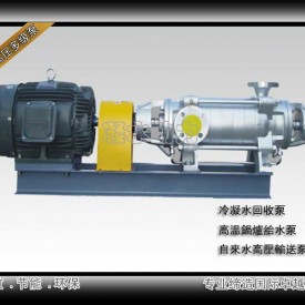 DN50-8进口TCM高温高压多级泵浦