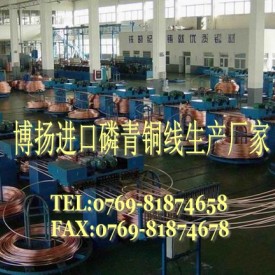 进口高纯度高硬度磷青铜 电极磷青铜 C5191耐蚀电阻焊磷铜