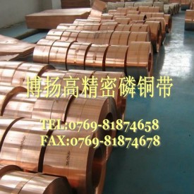 C5191磷脱磷青铜 无磁性磷青铜 进口耐高温磷青铜棒