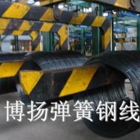 进口易切削弹簧钢带 C55S耐冲击弹簧钢薄板 光亮弹簧钢