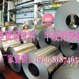 进口高精密弹簧钢，高精度弹簧钢，SUJ3耐热耐磨损弹簧钢