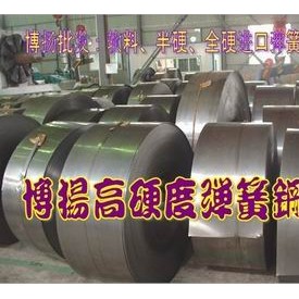 50CrMn高精度弹簧钢，耐热弹簧钢棒，进口弹簧钢厚板