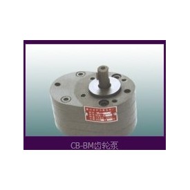 供应CB-BM6-125齿轮泵