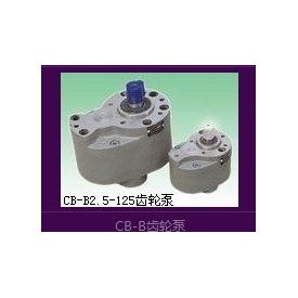 CB-B2.5-125齿轮泵