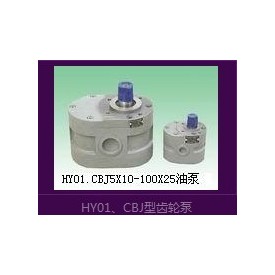 供应HY01-3X5-100X25齿轮泵
