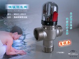 青海DN25太阳能恒温器