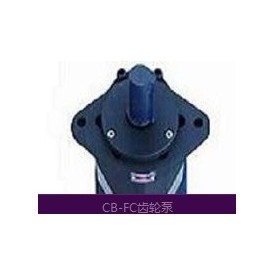 泰力CB-FA.FC10-50齿轮泵