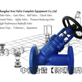 中德合资AKI截止阀  BSA6 Y型波纹管截止阀