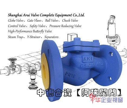 中德合资AKI止回阀 DC3 DIN升降式止回阀